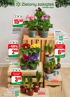 Dino - gazetka promocyjna Gazetka 09 / 2026 od środy 25.02 do wtorku 03.03 - strona 56