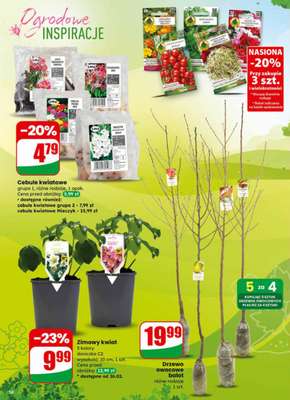 Dino - gazetka promocyjna Gazetka 09 / 2026 od środy 25.02 do wtorku 03.03 - strona 58