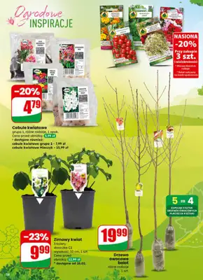 Dino - gazetka promocyjna Gazetka 09 / 2026 od środy 25.02 do wtorku 03.03 - strona 58