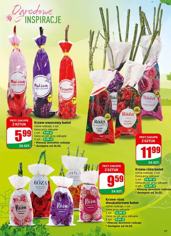 Dino - gazetka promocyjna Gazetka 09 / 2026 od środy 25.02 do wtorku 03.03 - strona 57