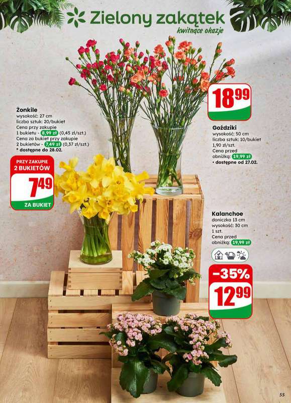 Dino - gazetka promocyjna Gazetka 09 / 2026 od środy 25.02 do wtorku 03.03 - strona 55