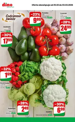 Dino - gazetka promocyjna MEGA promocje! od środy 25.02 do wtorku 03.03 - strona 6