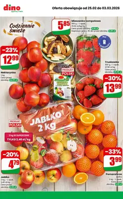 Dino - gazetka promocyjna MEGA promocje! od środy 25.02 do wtorku 03.03 - strona 5