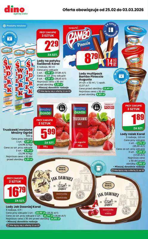 Dino - gazetka promocyjna MEGA promocje! od środy 25.02 do wtorku 03.03 - strona 10