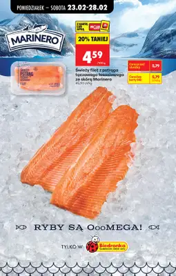 Biedronka - gazetka promocyjna Od poniedziałku od poniedziałku 23.02 do soboty 28.02 - strona 77
