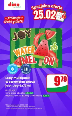 Dino - gazetka promocyjna Lody  - oferta na 25.02 | Promocje spoza gazetki od środy 25.02 do środy 25.02