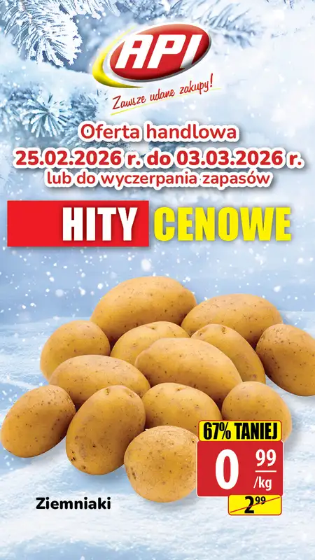 API Market - gazetka promocyjna Plakaty promocyjne od środy 25.02 do wtorku 03.03 - strona 5