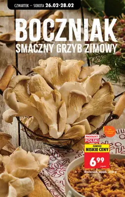 Biedronka - gazetka promocyjna Od czwartku od czwartku 26.02 do środy 04.03 - strona 24