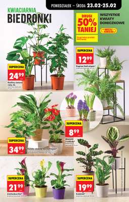 Biedronka - gazetka promocyjna Od poniedziałku od poniedziałku 23.02 do soboty 28.02 - strona 29