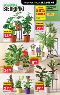 Biedronka - gazetka promocyjna Od poniedziałku od poniedziałku 23.02 do soboty 28.02 - strona 29