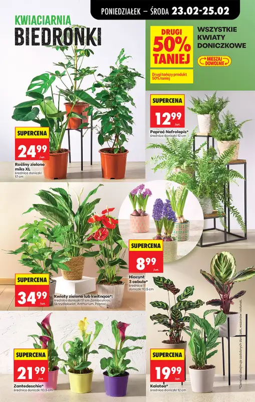 Biedronka - gazetka promocyjna Od poniedziałku, Z ladą tradycyjną od poniedziałku 23.02 do soboty 28.02 - strona 29