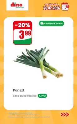Dino - gazetka promocyjna Specjalna oferta na 26.02.2026 - promocje spoza gazetki od czwartku 26.02 do czwartku 26.02 - strona 10