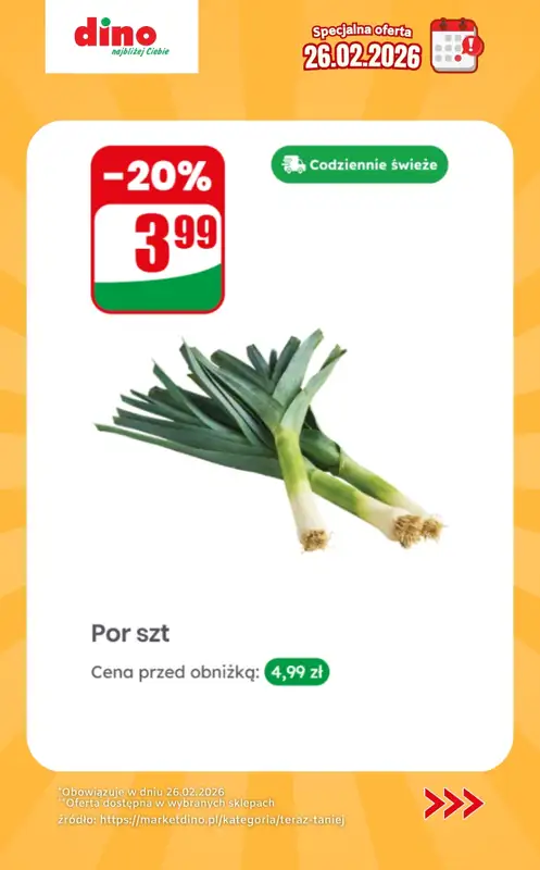 Dino - gazetka promocyjna Specjalna oferta na 26.02.2026 - promocje spoza gazetki od czwartku 26.02 do czwartku 26.02 - strona 10