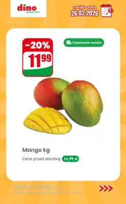 Dino - gazetka promocyjna Specjalna oferta na 26.02.2026 - promocje spoza gazetki od czwartku 26.02 do czwartku 26.02 - strona 2