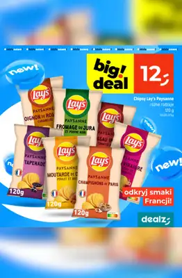 Dealz - gazetka promocyjna Odkryj nowości! od piątku 27.02 do środy 04.03 - strona 13