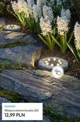 Sinsay - gazetka promocyjna Wiosna w Twoim ogrodzie od soboty 28.02  - strona 8