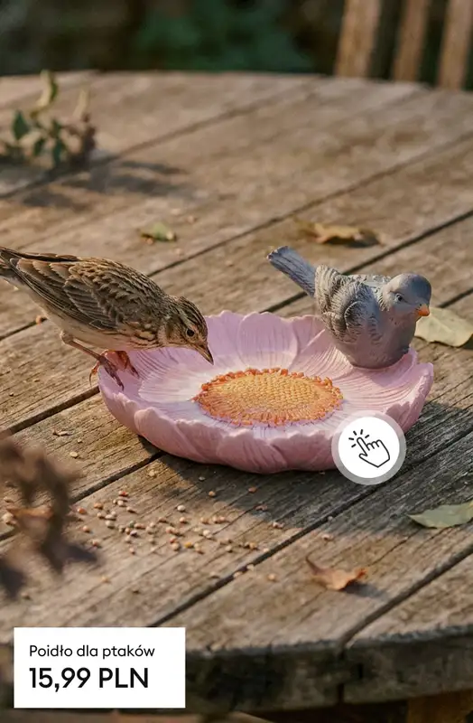 Sinsay - gazetka promocyjna Wiosna w Twoim ogrodzie od soboty 28.02  - strona 11