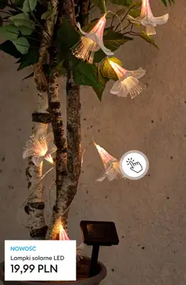 Sinsay - gazetka promocyjna Wiosna w Twoim ogrodzie od soboty 28.02  - strona 6