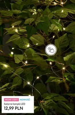 Sinsay - gazetka promocyjna Wiosna w Twoim ogrodzie od soboty 28.02  - strona 7