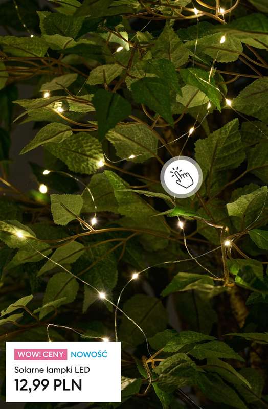 Sinsay - gazetka promocyjna Wiosna w Twoim ogrodzie od soboty 28.02  - strona 7