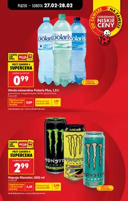 Biedronka - gazetka promocyjna Tani weekend w Biedronce od piątku 27.02 do soboty 28.02 - strona 13