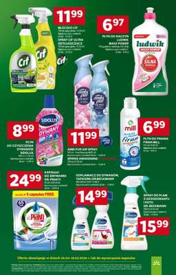 Stokrotka - gazetka promocyjna Hity na start od poniedziałku 02.03 do środy 04.03 - strona 13