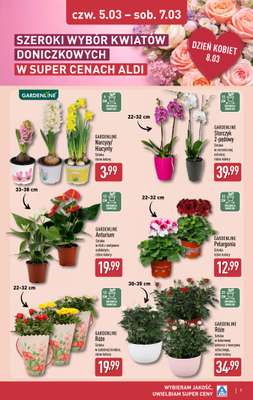 Aldi - gazetka promocyjna Dzień Kobiet w super cenach! od poniedziałku 02.03 do soboty 07.03 - strona 7