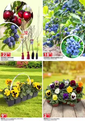 Merkury Market - gazetka promocyjna Urządź swój ogród od niedzieli 01.03 do wtorku 31.03 - strona 4