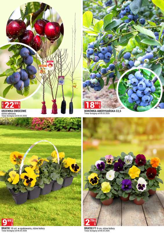 Merkury Market - gazetka promocyjna Urządź swój ogród od niedzieli 01.03 do wtorku 31.03 - strona 4