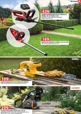 Merkury Market - gazetka promocyjna Urządź swój ogród od niedzieli 01.03 do wtorku 31.03 - strona 6