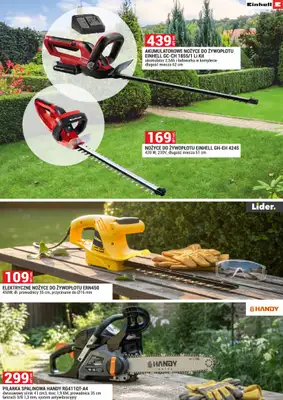 Merkury Market - gazetka promocyjna Urządź swój ogród od niedzieli 01.03 do wtorku 31.03 - strona 6