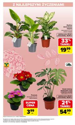 Carrefour - gazetka promocyjna Gazetka Dzień Kobiet od poniedziałku 02.03 do soboty 07.03 - strona 3