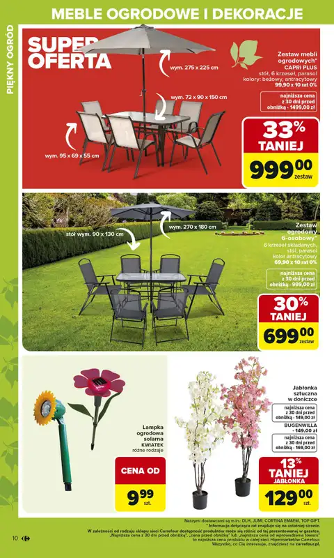 Carrefour - gazetka promocyjna Gazetka Ogród od poniedziałku 02.03 do soboty 04.04 - strona 10