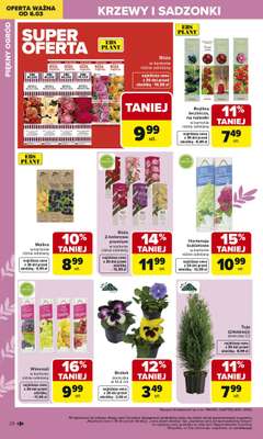 Carrefour - gazetka promocyjna Gazetka Ogród od poniedziałku 02.03 do soboty 04.04 - strona 26