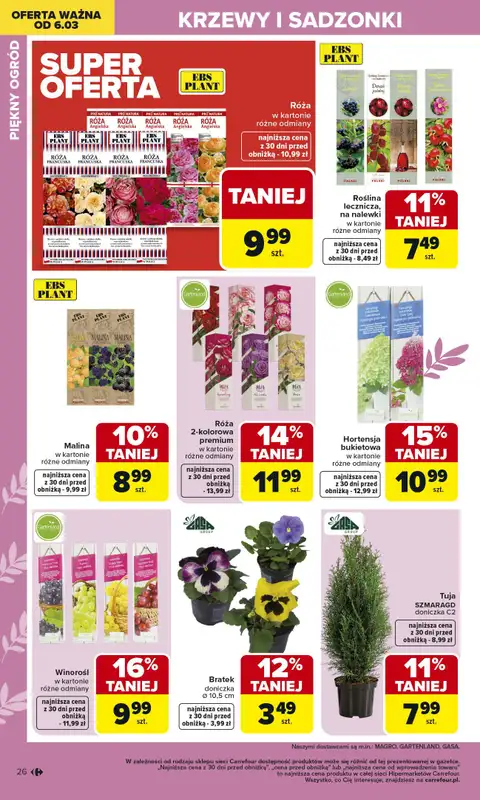 Carrefour - gazetka promocyjna Gazetka Ogród od poniedziałku 02.03 do soboty 04.04 - strona 26