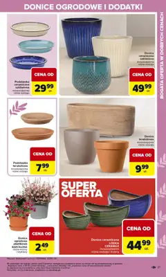 Carrefour - gazetka promocyjna Gazetka Ogród od poniedziałku 02.03 do soboty 04.04 - strona 21