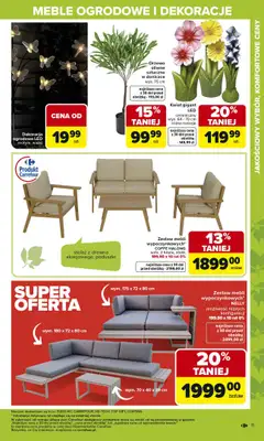Carrefour - gazetka promocyjna Gazetka Ogród od poniedziałku 02.03 do soboty 04.04 - strona 11