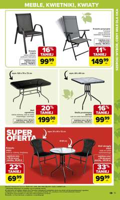 Carrefour - gazetka promocyjna Gazetka Ogród od poniedziałku 02.03 do soboty 04.04 - strona 13