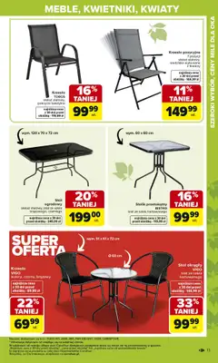 Carrefour - gazetka promocyjna Gazetka Ogród od poniedziałku 02.03 do soboty 04.04 - strona 13