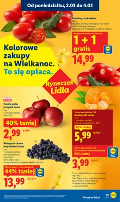 Lidl - gazetka promocyjna Oferta od poniedziałku od poniedziałku 02.03 do środy 04.03 - strona 25