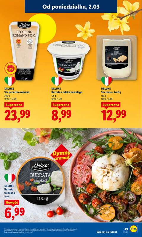 Lidl - gazetka promocyjna Oferta od poniedziałku od poniedziałku 02.03 do środy 04.03 - strona 49