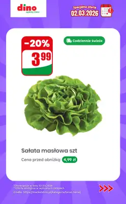 Dino - gazetka promocyjna Specjalna oferta na 02.03.2026 - promocje spoza gazetki od poniedziałku 02.03  - strona 4