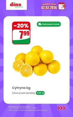 Dino - gazetka promocyjna Specjalna oferta na 02.03.2026 - promocje spoza gazetki od poniedziałku 02.03  - strona 2