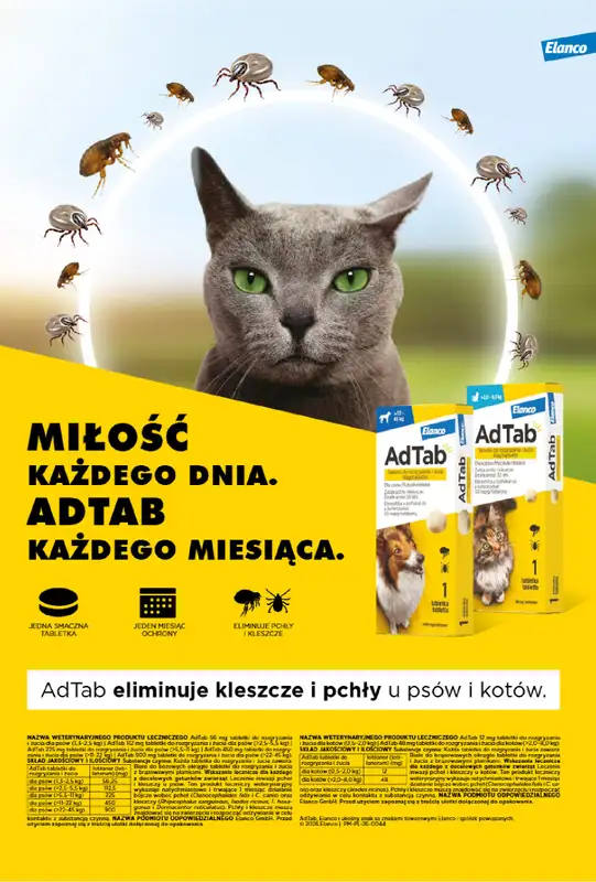 Aquael zoo - gazetka promocyjna Gazetka od poniedziałku 02.03 do wtorku 31.03 - strona 10