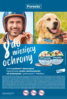 Aquael zoo - gazetka promocyjna Gazetka od poniedziałku 02.03 do wtorku 31.03 - strona 11