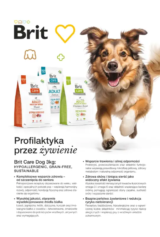 Aquael zoo - gazetka promocyjna Gazetka od poniedziałku 02.03 do wtorku 31.03 - strona 12