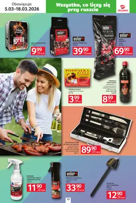 Selgros - gazetka promocyjna Katalog Ogród od czwartku 05.03 do środy 18.03 - strona 13
