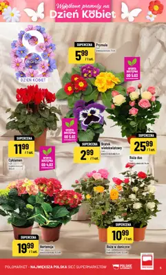 POLOmarket - gazetka promocyjna Gazetka od środy 04.03 do wtorku 10.03 - strona 5