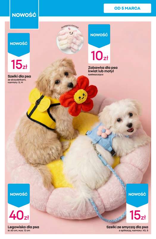 Pepco - gazetka promocyjna Gazetka od czwartku 05.03 do środy 11.03 - strona 10