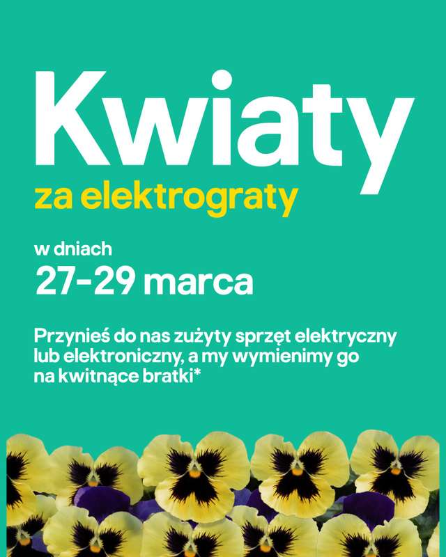 Castorama - gazetka promocyjna Ogród od środy 04.03 do wtorku 17.03 - strona 2